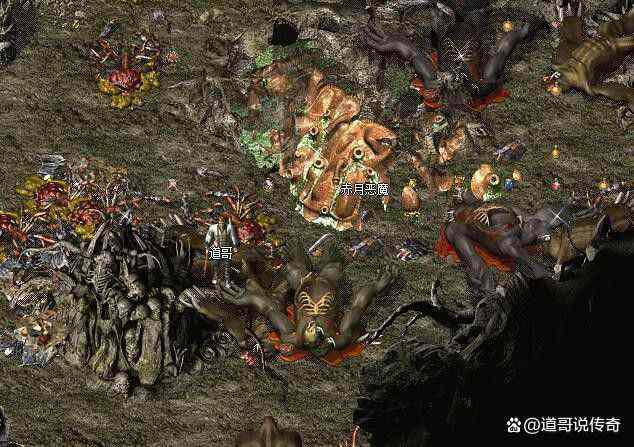 私服1.76复古金币版竞技场排名结算时靠前的小技巧